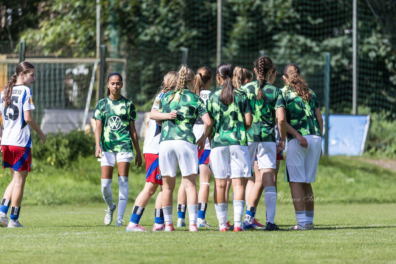 Bild 275 - wBJ Hamburger SV - VfL Wolfsburg : Ergebnis: 5:1